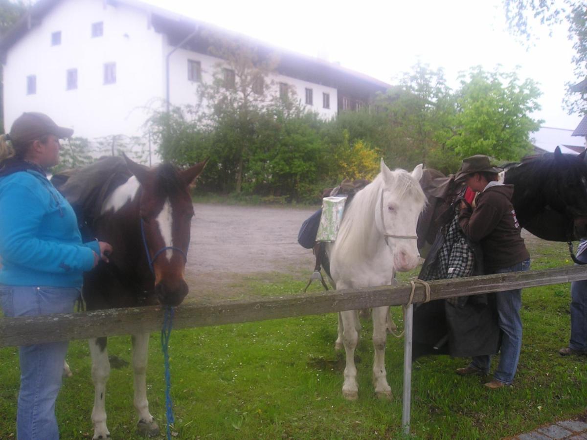 Gasthaus Zum Spaeth Englmannsberg Eksteriør billede